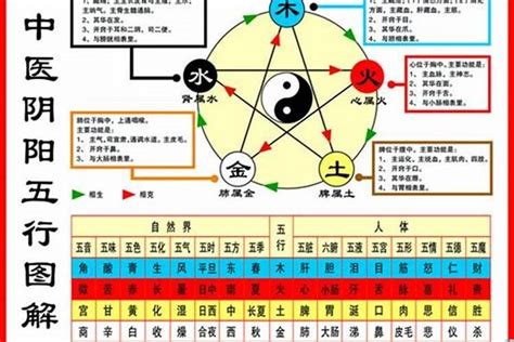 鼠屬五行|生肖鼠五行属什么，属鼠的五行